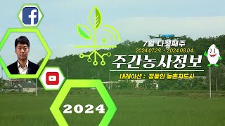 [ 주간농사정보 ] 7월 5째주 (2023. 07. 29. ~ 08. 04.)
