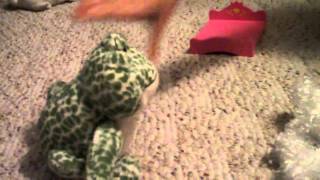 webkinz bullet proof la roux kidz bop verision