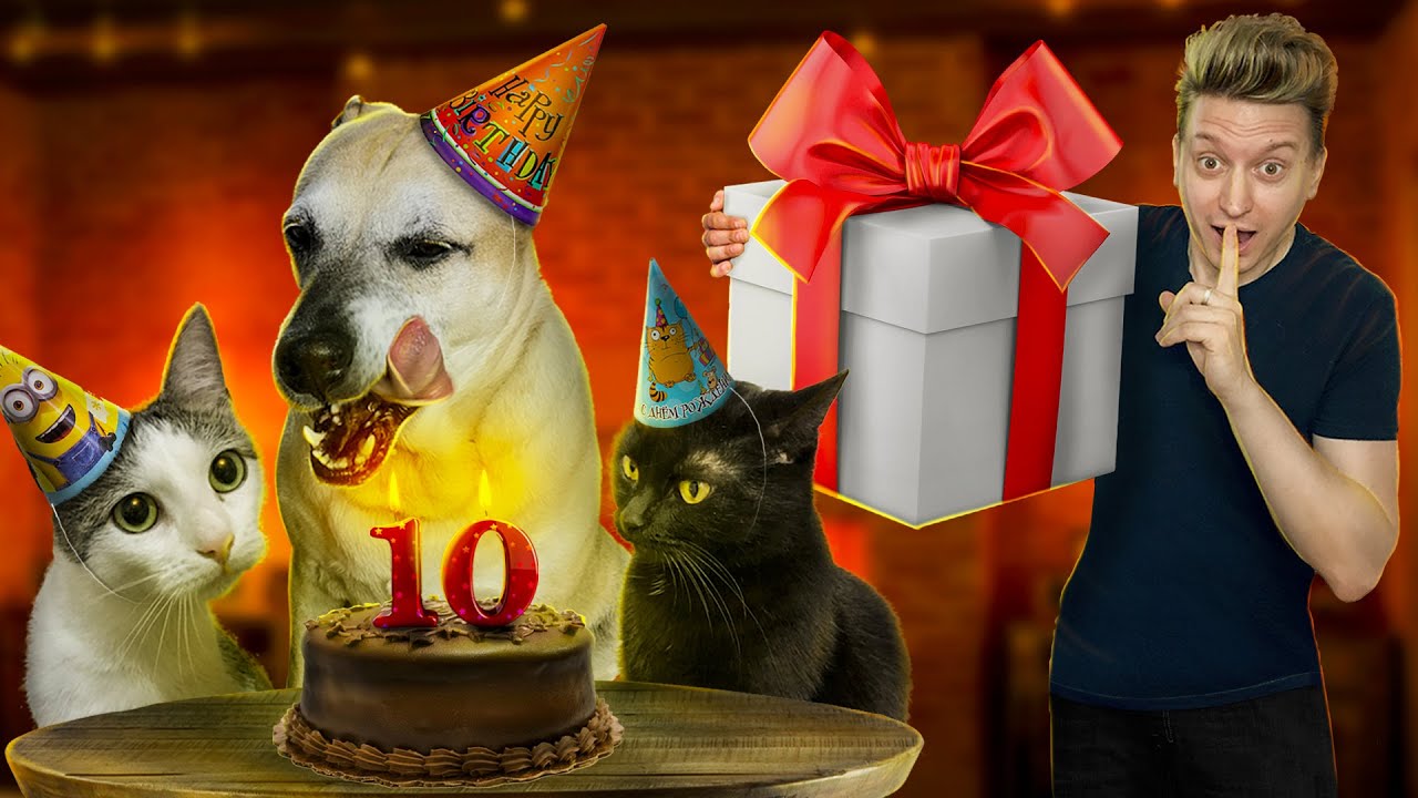 Самый большой подарок для нашего пса / SANI vlog