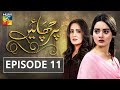 Parchayee Episode 11 HUM TV Drama