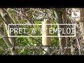 "PRET A L'EMPLOI" Nature Market Graisses pour oiseaux "PRET A L'EMPLOI" Nature Market Graisses pour oiseaux