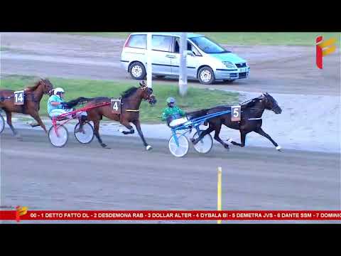 VII Corsa del 7 Giugno 2023 - 4 Anni - Metri 1600