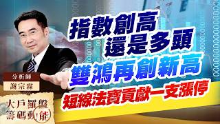 指數創高 還是多頭雙鴻再創新高短線法寶貢獻一支漲停