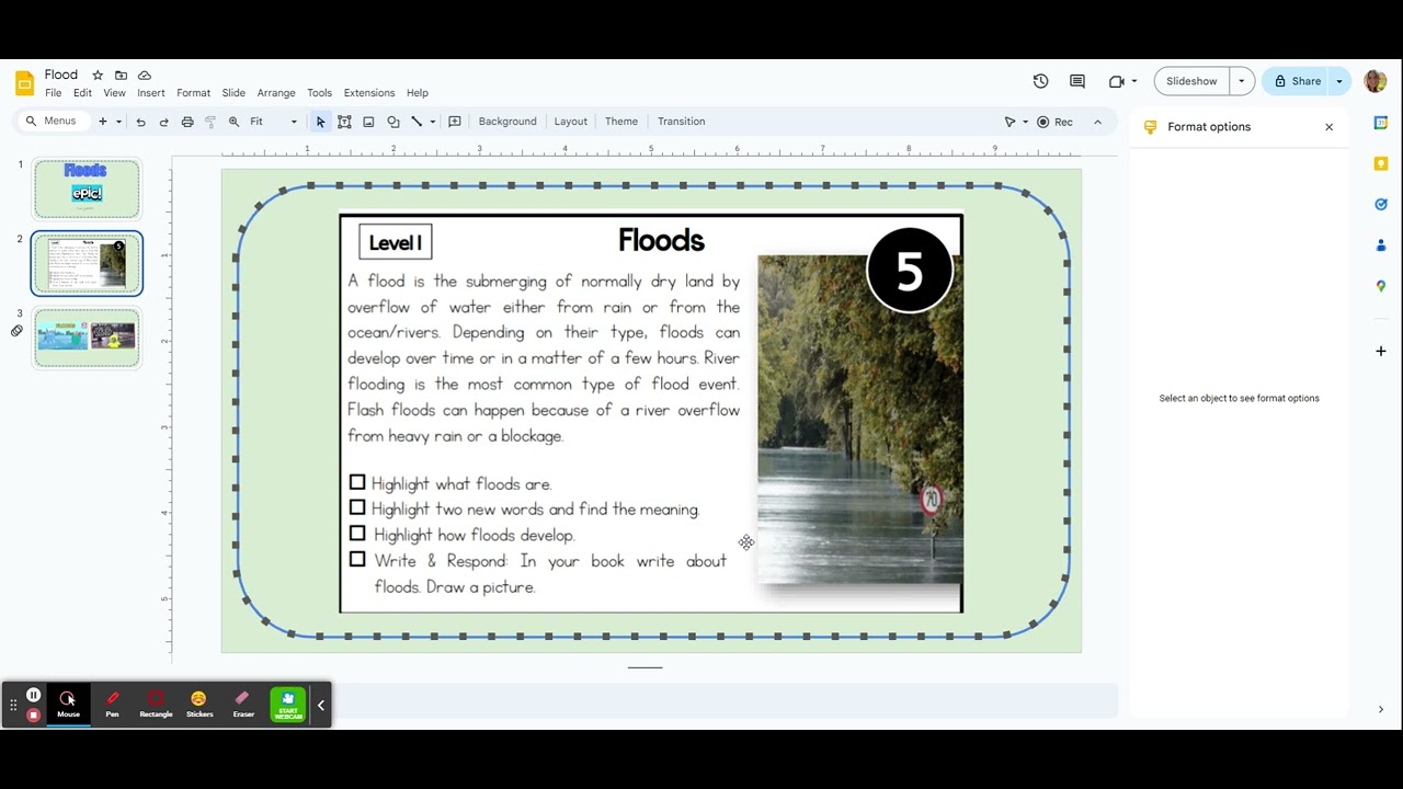 Flood - Google Slides