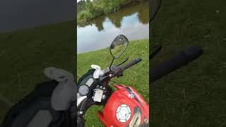 Download lagu muara mp3