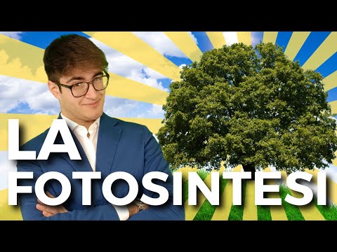 PHOTOSYNTHESIS in Less Than 5 Minutes | Biology for the TOLC-MED Exam
