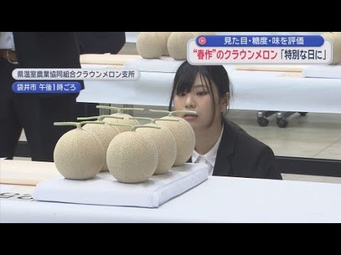 YouTube Video 外観や味、甘さを審査　クラウンメロンの品評会　24日まで日本平ホテルの特別メニューに　静岡・袋井市