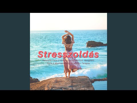 Mi a(z) B definíciója, jelentése? HR PORTAL HR-szótár, Necatoriasis stressz