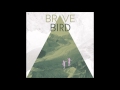Brave Bird - Healthy 