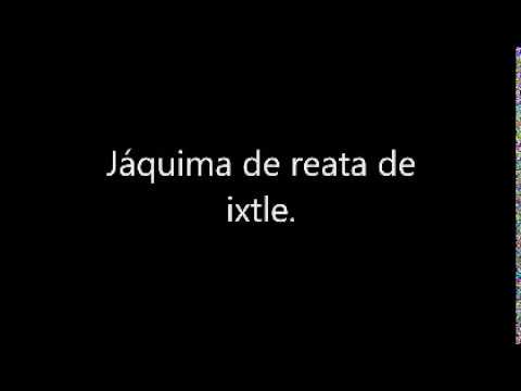 LA JÁQUIMA DE IXTLE (Elaboración).