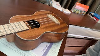 ウクレレ練習（初めてのライブ配信）