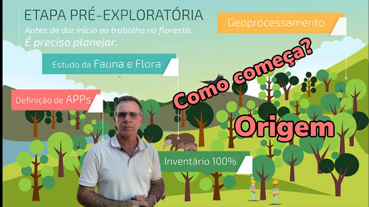 Como começa o estudo para fazer um plano de manejo florestal sustentável?