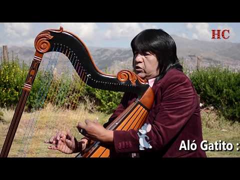 Decir Adios - Dalinas Del Arpa