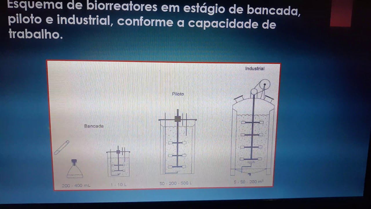 Aula Biorreatores e Processos Fermentativos 1/3