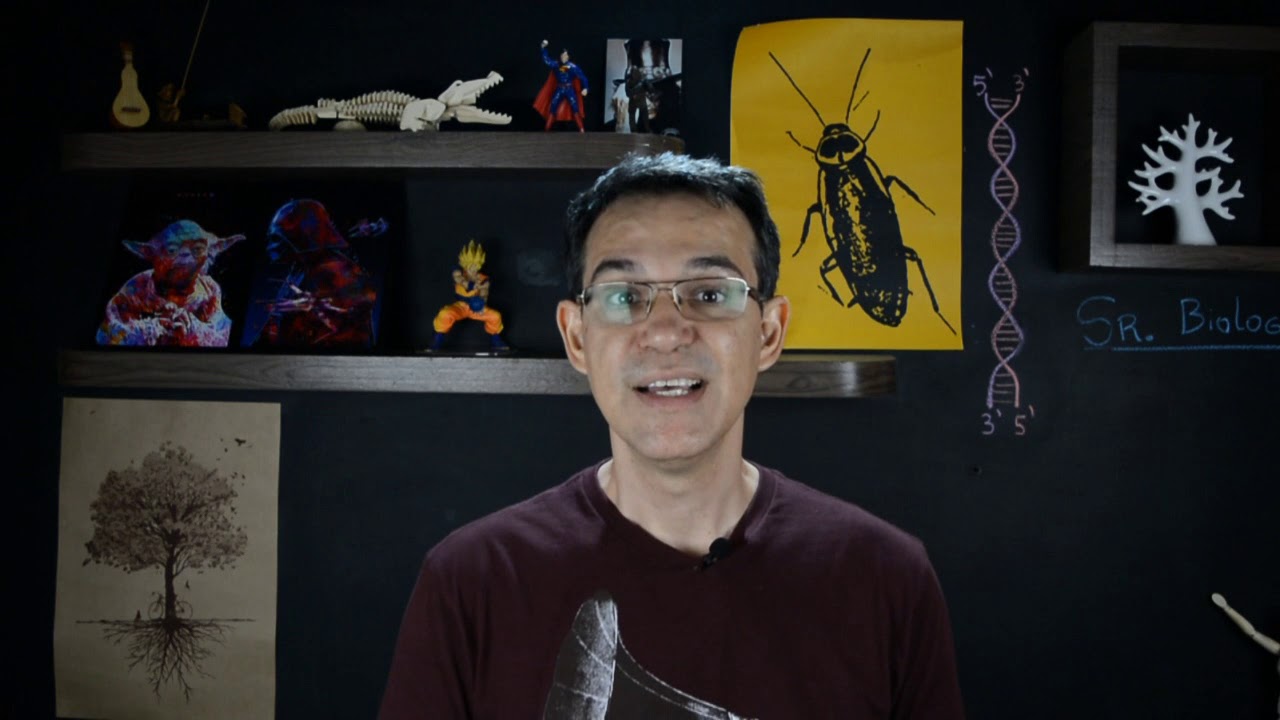 História de GREGOR MENDEL - GENÉTICA