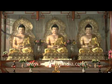 Bodh gaya video