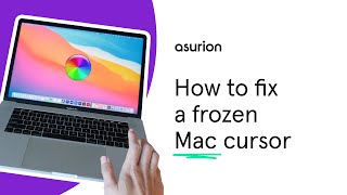 Is your Mac cursor frozen? Here’s how to fix it | Asurion