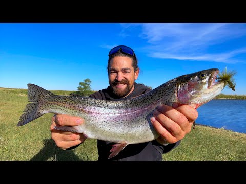 Fall Trout Fishing BEST Wooly Bugger Colors! Aggressive Shallow Rainbow Trout