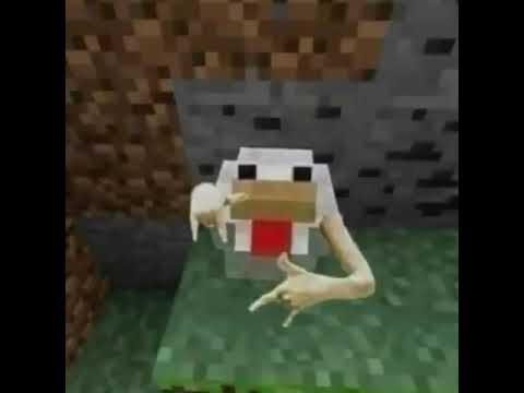 ya volví Master 🤝