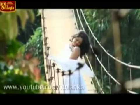 ran samanalayo theme video - D & S