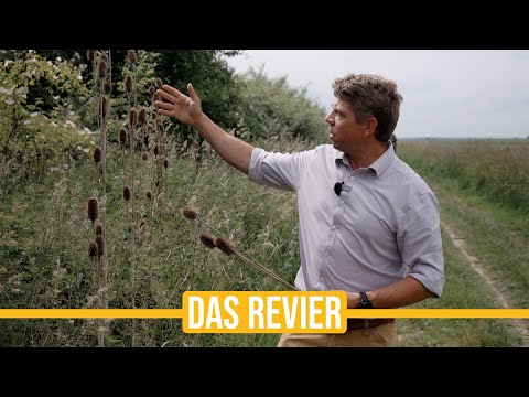 Niederwildtestrevier | Die große Revierrunde mit Paul - Feldfrüchte, Fasane und viele Fallen