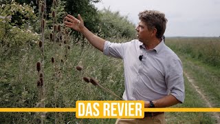 Niederwildtestrevier | Die große Revierrunde mit Paul - Feldfrüchte, Fasane und viele Fallen