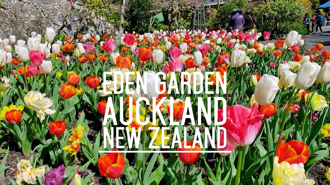 Discover a captivating glimpse of Eden Garden.