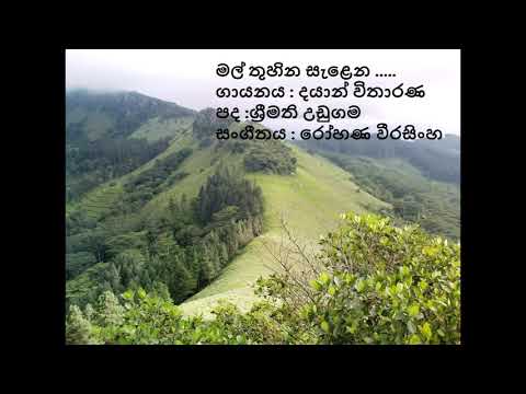 Dayan Witharana - Mal thuhina