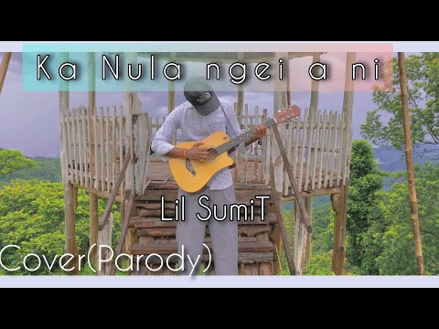 Lil kiki - Ka Nula ngei a ni. (Cover/Parody) by Lil SumiT
