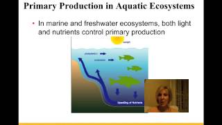 Ecosystems Lecture Chapter 55 Campbell Biology