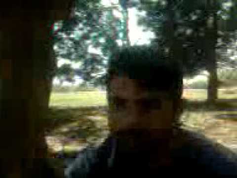 Dogs mimicry (By RJ SINGH)| FUNNY| COMDEY|