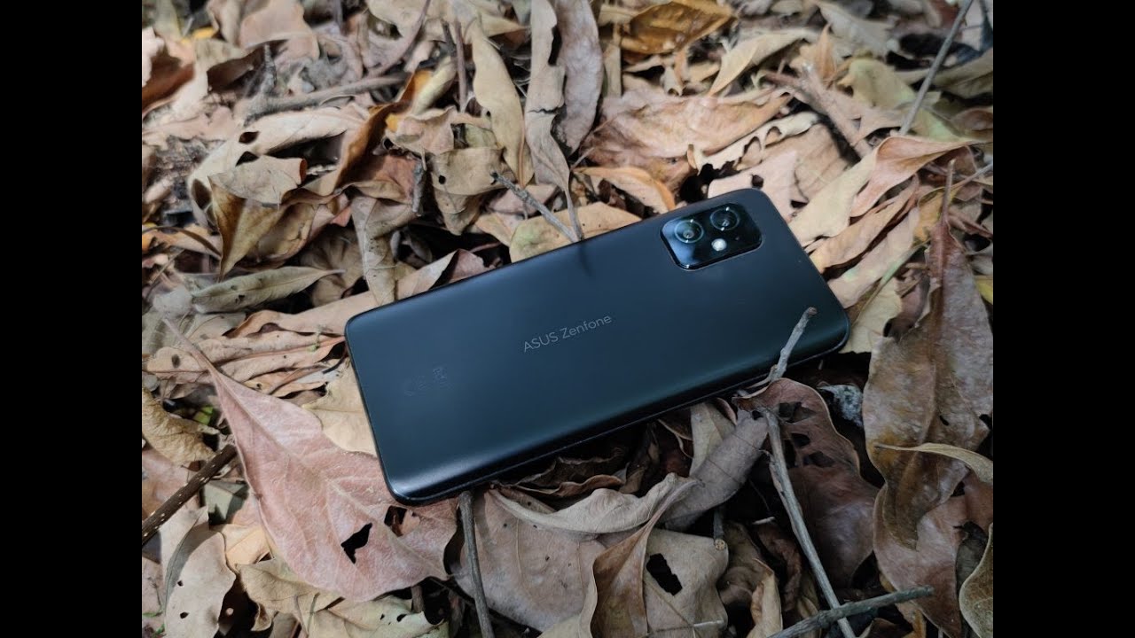 ASUS Zenfone 8 - I want it to be POPULAR.