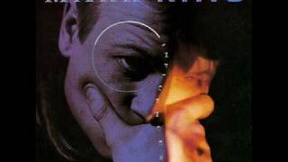 Mark King - There is a dog!