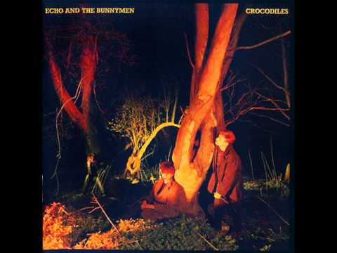 Echo & the bunnymen - Crocodiles 1980 (full album)