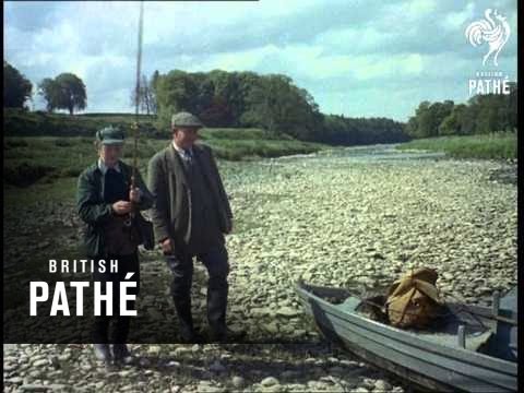 Fly Fishing (1955)
