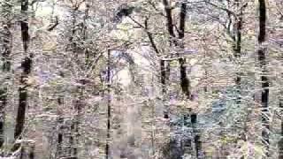 &quot;The Coloring Song&quot; - Petra