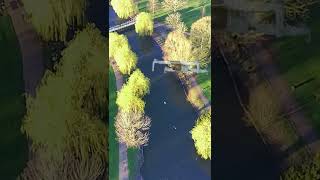 Fimi mini x8 drone's flight over wardown park #vlog #shorts #drone 3