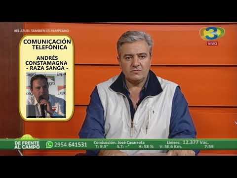 DE FRENTE AL CAMPO junto a la GANADERÍA -ANDRÉS COSTAMAGNA -