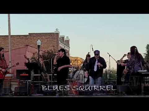 Promotional video thumbnail 1 for Blues Squirrel