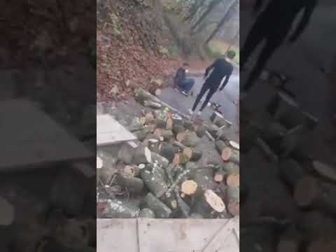 Pijani zagorci prosipali drva