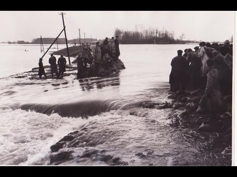 Simonshaven, 1953, watersnoodramp.