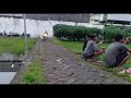 Story Wa Lucu