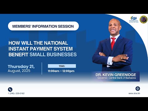 How will the National Instant Payment System benefit Small Businesses