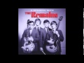 The Remains - Ain't That Her
