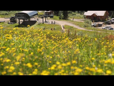 End of Summer 2022 Recap