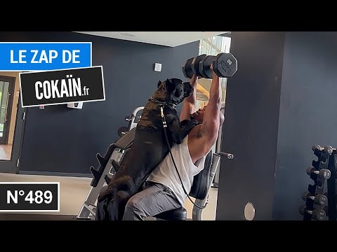 Le Zap de Cokaïn.fr n°489