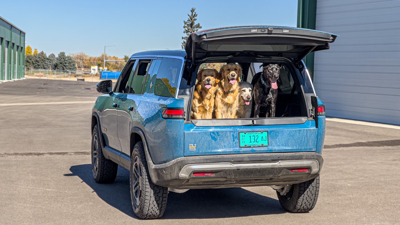 The Rivian R1S Is The Ultimate Dog Haulere