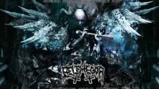 Belphegor - Stigma Diabolicum