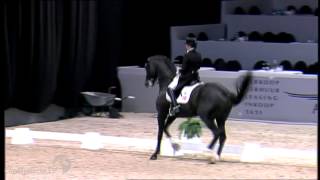 Video van Finckenstein TSF