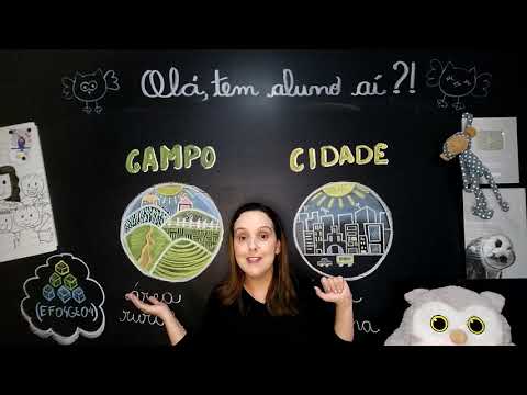 Campo e cidade _ relação de interdependência entre campo e cidade - Habilidade (EF04GE04)